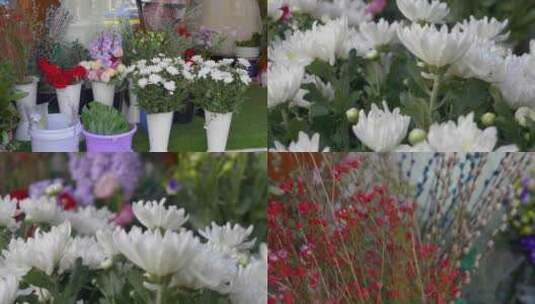4K拍摄花店各色鲜花花束求婚手捧花背景素材高清在线视频素材下载