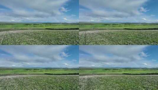 航拍种植中草药的农田高清在线视频素材下载