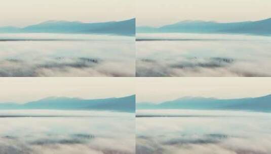 云雾森林水墨自然风景雾气弥漫大雾高清在线视频素材下载