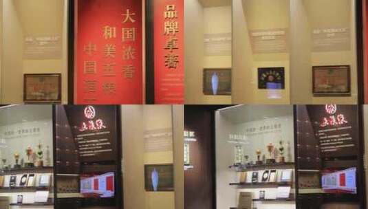 四川省宜宾市五粮液酒文化博览馆高清在线视频素材下载