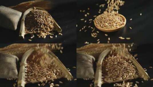 燕麦米五谷杂粮高清在线视频素材下载