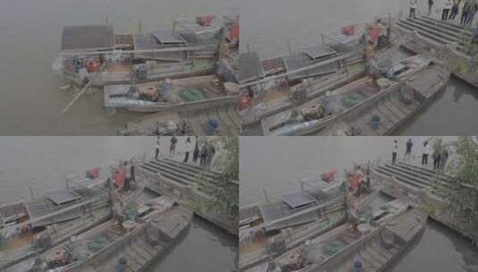 惠州东江渔船卖鱼高清在线视频素材下载