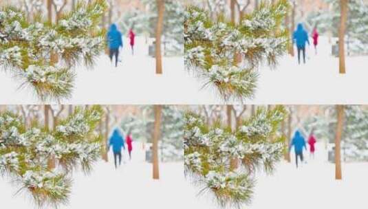 下雪中的松树枝头积雪与行人背影高清在线视频素材下载