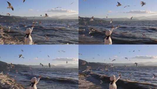 （慢镜头）大理洱海日出美女喂海鸥唯美镜头高清在线视频素材下载