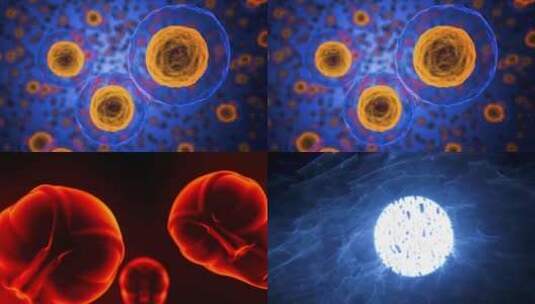 细胞结构生物医疗高清在线视频素材下载