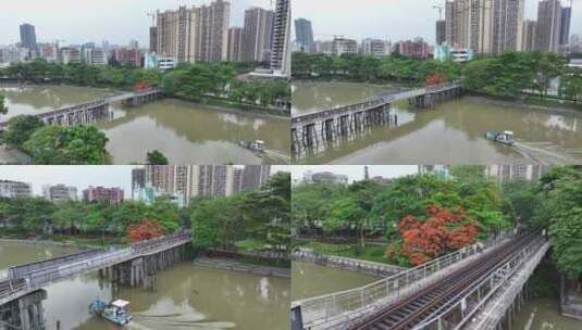 中国广东省广州市荔湾区花地河凤凰花高清在线视频素材下载