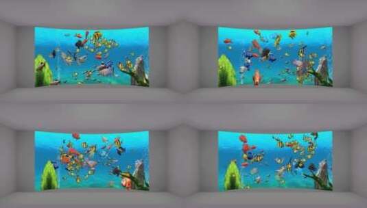 裸眼3D鱼 4K宽屏高清在线视频素材下载