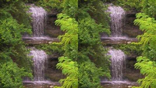 木景观水夏天高清在线视频素材下载