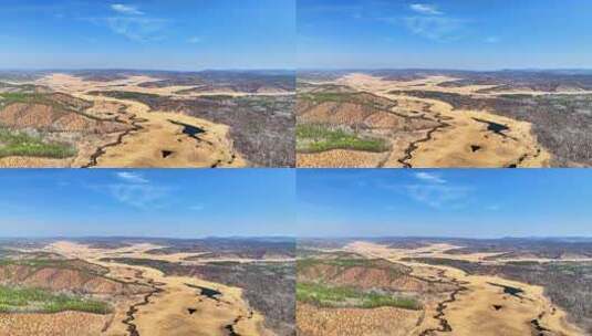 国际重要湿地：霍日高鲁森林沼泽湿地高清在线视频素材下载