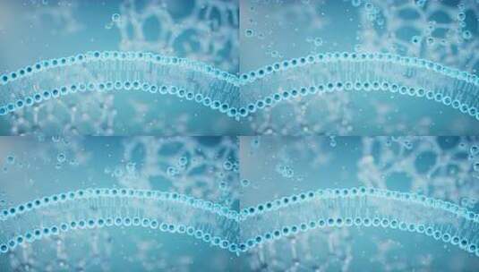 细胞膜吸收分子，三维渲染。高清在线视频素材下载