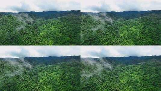 茶山 山川 云海 云南原始森林 大好河山高清在线视频素材下载