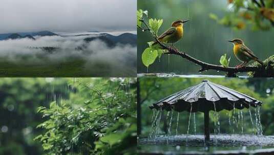 意境下雨雨景屋檐雨天老房子江南烟雨雨水高清在线视频素材下载