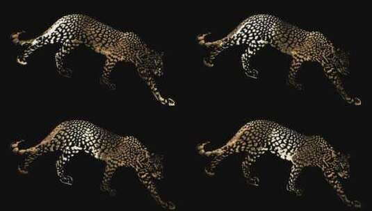 豹子 豹纹 猎豹 动物 金属 金色高清AE视频素材下载