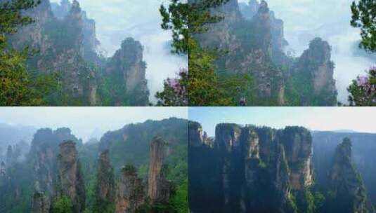 唯美张家界武陵源黄石寨雨后初晴云海风光高清在线视频素材下载