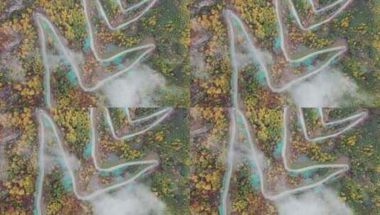 4K航拍秋天五彩斑斓的盘山路高清在线视频素材下载