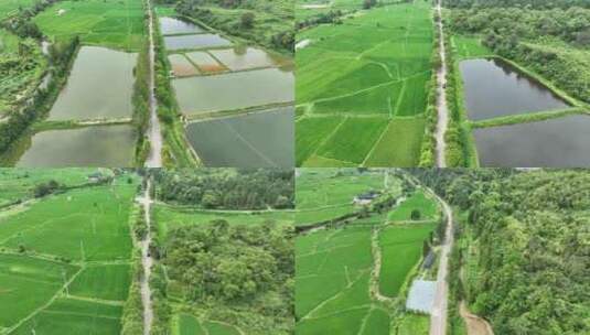 汽车行驶乡村公路航拍车辆行驶农村道路风景高清在线视频素材下载