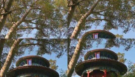 秋季清晨北京景山公园古建筑亭子高清在线视频素材下载