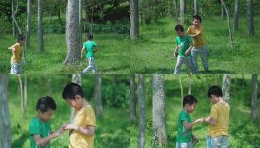 小孩子小朋友在树林里捉虫子玩蚱蜢蝗虫高清在线视频素材下载