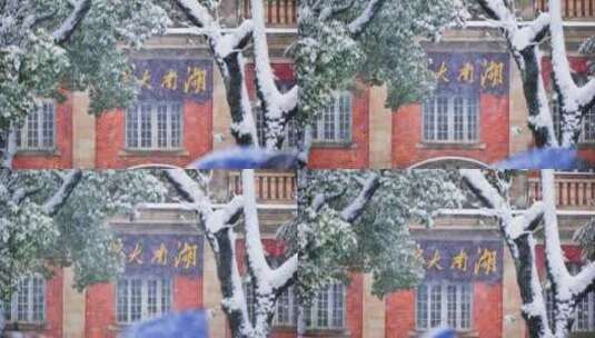 长沙下雪湖南大学岳麓书院高清在线视频素材下载