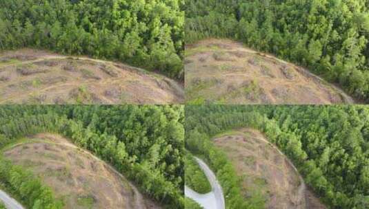 北卡罗来纳州阿巴拉契亚森林砍伐森林导致光高清在线视频素材下载
