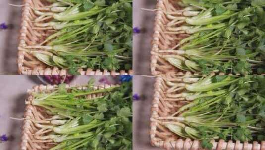 调料香菜 (7)高清在线视频素材下载