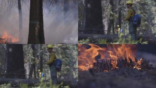 消防队员在森林灭火高清在线视频素材下载