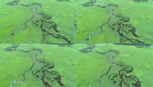 航拍内蒙古北部森林曲水哈乌尔河高清在线视频素材下载