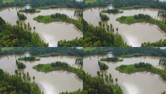 春天广州海珠国家湿地公园航拍高清在线视频素材下载