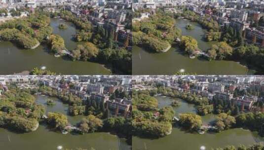 航拍城市绿化城市公园高清在线视频素材下载