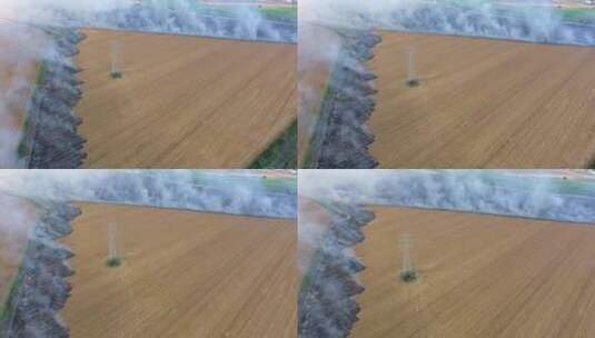 农业焚烧农田高清在线视频素材下载