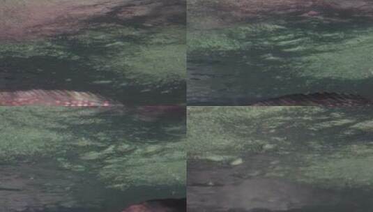深水水流水波纹泡沫海底高清在线视频素材下载