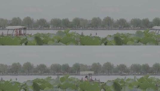 市井空镜 杭州西湖 车流 人流 市民高清在线视频素材下载