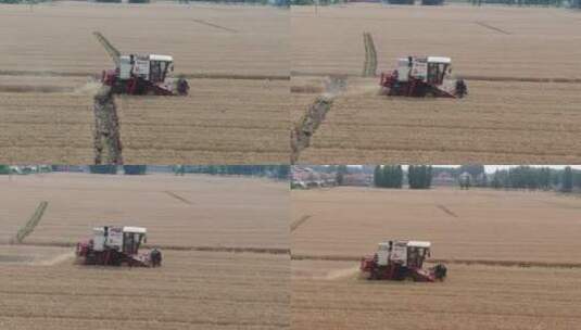 航拍小麦收割高清在线视频素材下载