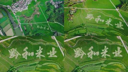 4k航拍贵州农业黔和米业高清在线视频素材下载
