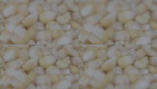 鲜玉米粒脱粒慢镜头LOG高清在线视频素材下载