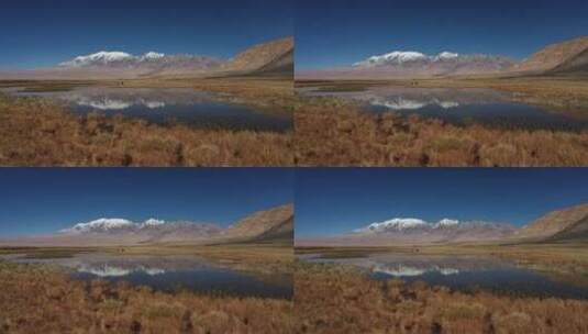慕士塔格峰下的新疆帕米尔高原塔合曼乡湿地高清在线视频素材下载