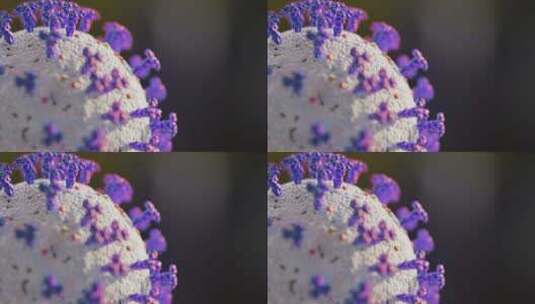 冠状病毒微观3D动态效果高清在线视频素材下载