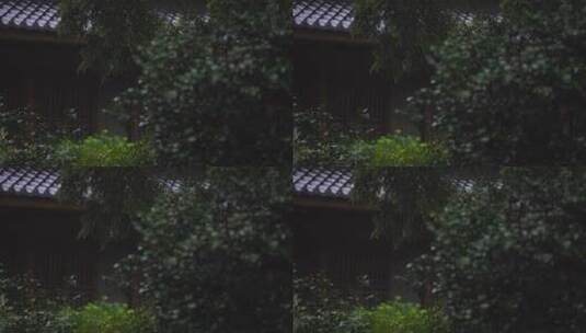 东方美学杭州西湖诗画江南曲院风荷园林建筑高清在线视频素材下载