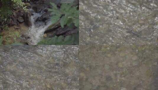 河流小溪青草泉水河边河水溪流水高清在线视频素材下载
