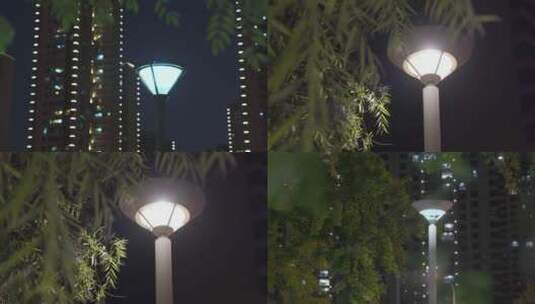 小区路灯树叶高清在线视频素材下载