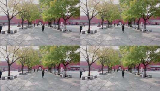 8k实拍秋天的故宫景区高清在线视频素材下载