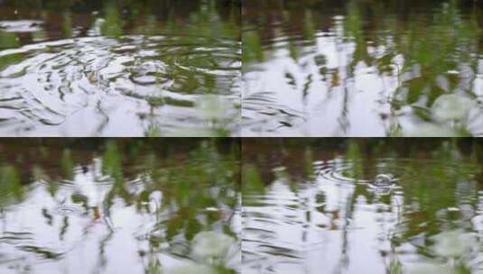 雨中水面唯美的波纹高清在线视频素材下载
