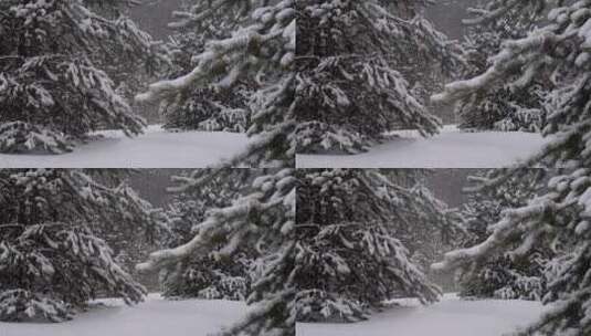 大自然冬天冰雪覆盖的森林高山雪山美景特写高清在线视频素材下载