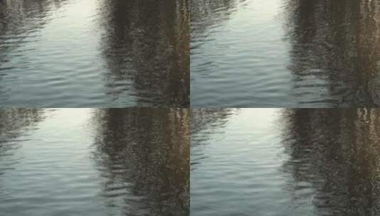 4K水面倒影-森林水面波纹空镜高清在线视频素材下载