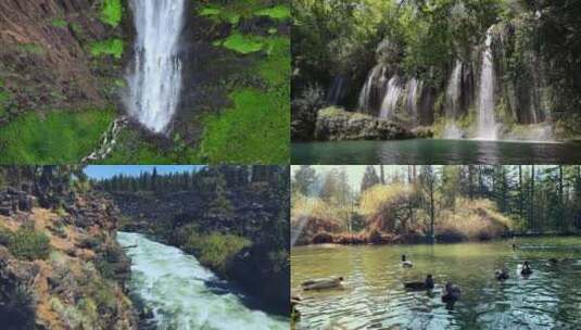自然生态宣传片 森林瀑布池塘中鸭子风景素材高清在线视频素材下载