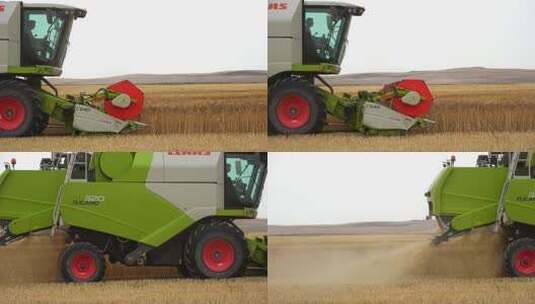 小麦丰收 农业丰收 粮食丰收高清在线视频素材下载