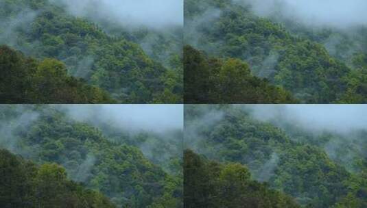 大自然下雨山水风景谷雨节气航拍森林高清在线视频素材下载