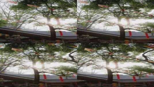 杭州上天竺法喜寺阳光透过树叶高清在线视频素材下载