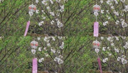 悬挂在樱花树上的美丽玻璃风铃随风轻轻摇摆高清在线视频素材下载