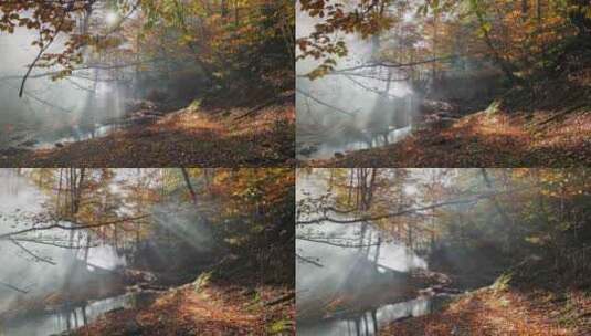 秋天森林里的晨雾。秋天森林里的河。秋天的高清在线视频素材下载